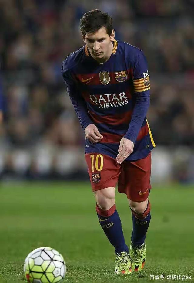 应在冬季提 应在冬季提